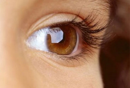 厦门眼科中心启动“爱眼日”宣传教育周和爱眼月系列活动